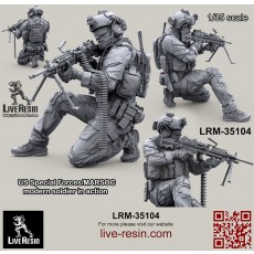 US Special Forces/MARSOC modern soldier in action, figure 3